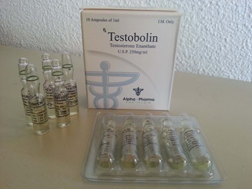 Testosterone Enanthate Alpha Pharma